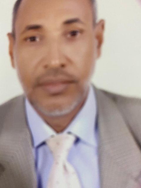 Portrait de Mohamed Mahmoud Abdel Aziz